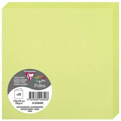Clairefontaine Pollen Cards - 135x135mm 210g/m², Green Bud - Pack of 2 Clairefontaine Pollen Cards - 135x135mm 210g/m², Green Bud - Pack of 2