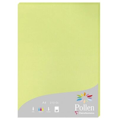 Carta da stampa Pollen di Clairefontaine - A4, Verde, 25 fogli Carta da stampa Pollen di Clairefontaine - A4, Verde, 25 fogli