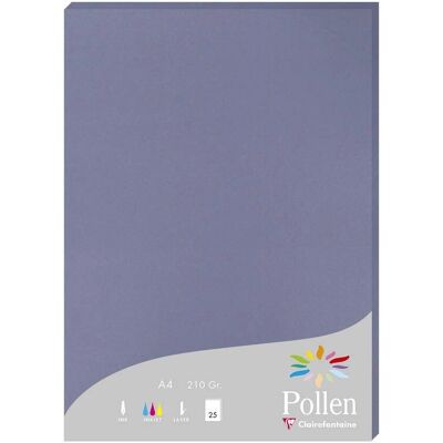 Clairefontaine Pollen Papper - 25 ark, 210x297mm, 210g/m2 - Myosotis - Paket med 2 Clairefontaine Pollen Papper - 25 ark, 210x297mm, 210g/m2 - Myosotis - Paket med 2