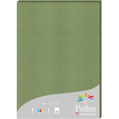 Clairefontaine Salvia grön Pollen papperark - 210x297mm - 25 ark Clairefontaine Salvia grön Pollen papperark - 210x297mm - 25 ark