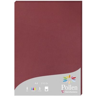 Carta da stampa Pollen Burgundy A4 - 25 Fogli Carta da stampa Pollen Burgundy A4 - 25 Fogli