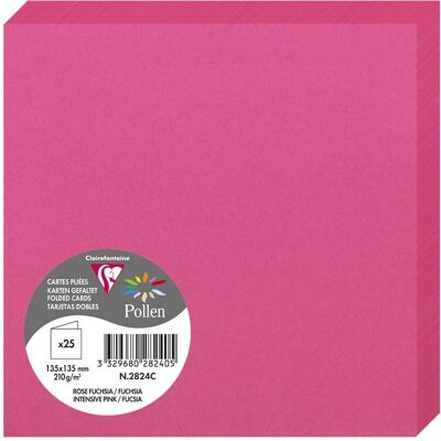 Clairefontaine 25 Carte piegate fucsia - 135x135mm - 210g/m² - Confezione da 2 - Carta Clairefontaine 25 Carte piegate fucsia - 135x135mm - 210g/m² - Confezione da 2 - Carta
