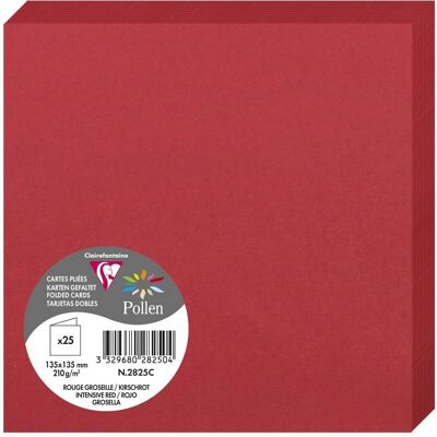 Clairefontaine Modell Pollen 135x135mm 210g/m² - Rouge cerise - Kort Clairefontaine Modell Pollen 135x135mm 210g/m² - Rouge cerise - Kort