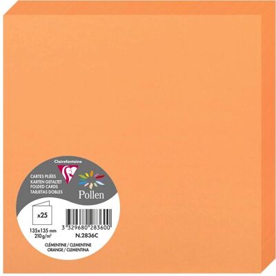 Clairefontaine 135x135mm 210g/m² Card - Clémentine - Lot of 2 Clairefontaine 135x135mm 210g/m² Card - Clémentine - Lot of 2