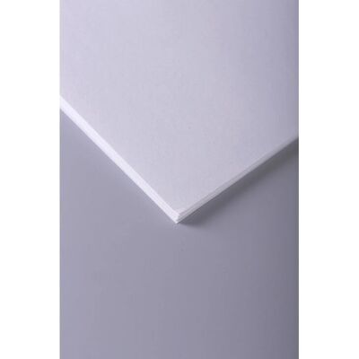 Carta artistica Clairefontaine 37264C - 10 fogli, bianco, 75x105cm - 90gsm Carta artistica Clairefontaine 37264C - 10 fogli, bianco, 75x105cm - 90gsm