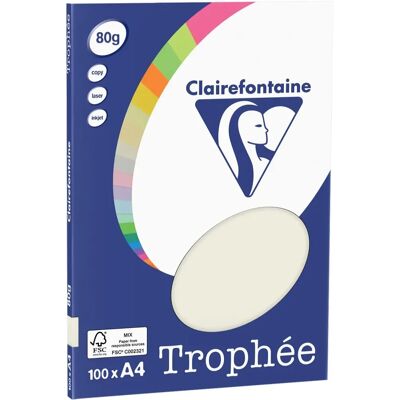 Clairefontaine Gris Perle A4 - 80g - Papier Couleur - Publicité Clairefontaine Gris Perle A4 - 80g - Papier Couleur - Publicité