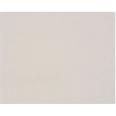 Clairefontaine Graukarton 80x120cm - 10 Bögen Clairefontaine Graukarton 80x120cm - 10 Bögen