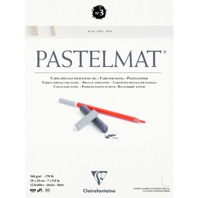 Clairefontaine Pastelmat Konstnärspapper - 12 ark - Vit Clairefontaine Pastelmat Konstnärspapper - 12 ark - Vit