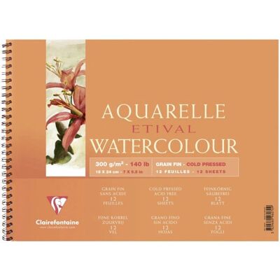 Clairefontaine 96070C Konstnärspapper - 12 blad Clairefontaine 96070C Konstnärspapper - 12 blad