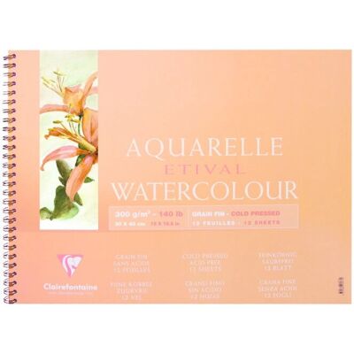 Bloc de papier d'art Clairefontaine 96072C - Grain fin - 12 feuilles - Publicité Bloc de papier d'art Clairefontaine 96072C - Grain fin - 12 feuilles - Publicité