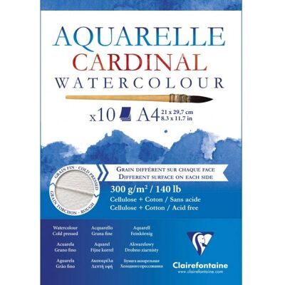 Clairefontaine Art Paper - A4, 10 Sheets Clairefontaine Art Paper - A4, 10 Sheets