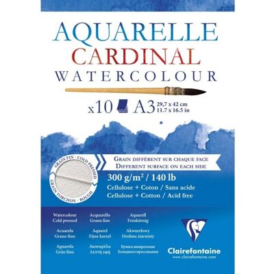 Clairefontaine Art Paper - 10 Sheets, A3, Extra White - Art Paper Clairefontaine Art Paper - 10 Sheets, A3, Extra White - Art Paper