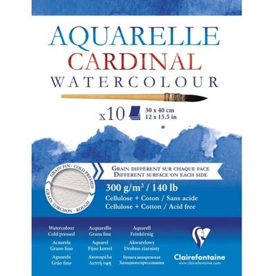 Clairefontaine - Cardinal bloc collé 10F 30x40cm - art paper pad Clairefontaine - Cardinal bloc collé 10F 30x40cm - art paper pad