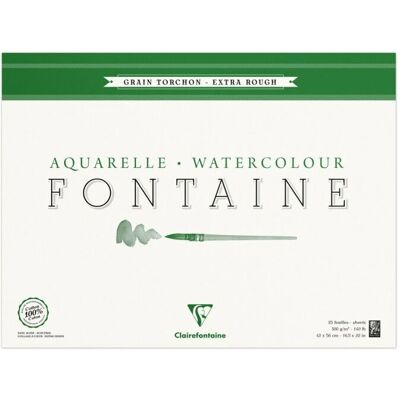 Clairefontaine 96432C 42x56cm 300g - Carta artistica Clairefontaine 96432C 42x56cm 300g - Carta artistica