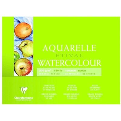 Clairefontaine 96463C Papel de Arte - 25 Hojas, Blanco Clairefontaine 96463C Papel de Arte - 25 Hojas, Blanco
