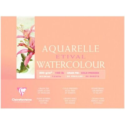 Bloc de papier d'art Clairefontaine - 25 feuilles - Grain fin 300g Bloc de papier d'art Clairefontaine - 25 feuilles - Grain fin 300g