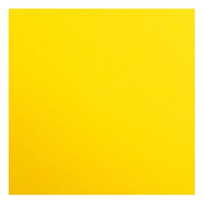 Clairefontaine 97453C Zeichenpapier - 25 Blatt - goldgelb Clairefontaine 97453C Zeichenpapier - 25 Blatt - goldgelb