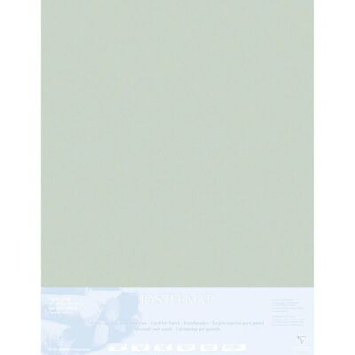 Carta artistica Clairefontaine 396019C - 5 fogli Carta artistica Clairefontaine 396019C - 5 fogli