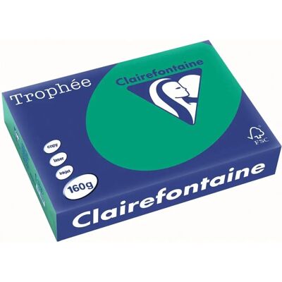 Clairefontaine Vert A4 160 g/m² 250 feuilles - Papier coloré - Publicité Clairefontaine Vert A4 160 g/m² 250 feuilles - Papier coloré - Publicité