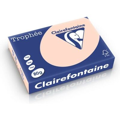 Clairefontaine Saumon A4 - 80g - Papier Couleur - 5 Ramettes - Publicité Clairefontaine Saumon A4 - 80g - Papier Couleur - 5 Ramettes - Publicité