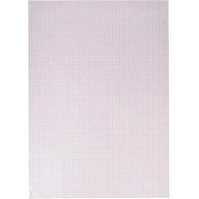 Clairefontaine Bristol Bögen 20F A3 205g - Weiß - Künstlerpapier Clairefontaine Bristol Bögen 20F A3 205g - Weiß - Künstlerpapier