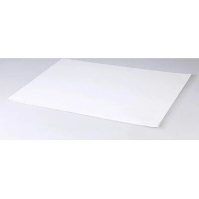 Clairefontaine A2 Art Paper - 250g/m², White, Fine Grain Clairefontaine A2 Art Paper - 250g/m², White, Fine Grain
