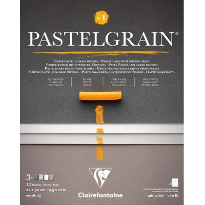Clairefontaine 976058C konstnärspapper - Pastell, 24x30 cm Clairefontaine 976058C konstnärspapper - Pastell, 24x30 cm