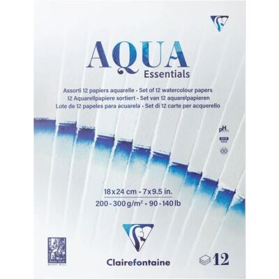 Clairefontaine 976098C konstnärspapper - 12 blad Clairefontaine 976098C konstnärspapper - 12 blad