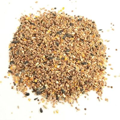 Mélange Zolux Oiseaux Nature - 12kg - Nourriture pour oiseaux - Publicité Mélange Zolux Oiseaux Nature - 12kg - Nourriture pour oiseaux - Publicité