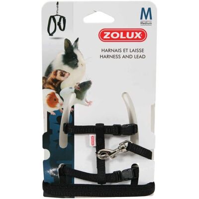 Zolux Haustier-Geschirr- und Leine-Set - Klein - Schwarz Zolux Haustier-Geschirr- und Leine-Set - Klein - Schwarz