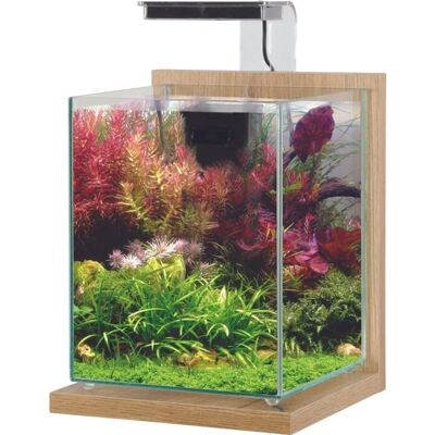 Zolux - Jalaya 2 - Chêne - 10 Ltr - Aquarium Kit - Publicité Zolux - Jalaya 2 - Chêne - 10 Ltr - Aquarium Kit - Publicité