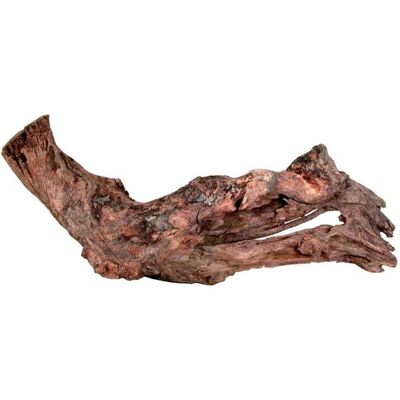 Přírodní kořen mangrovníku 40-60cm - Dekorace akvária Přírodní kořen mangrovníku 40-60cm - Dekorace akvária