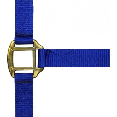 Symantec - NORTON - Königsblau - Cob - Halter Symantec - NORTON - Königsblau - Cob - Halter