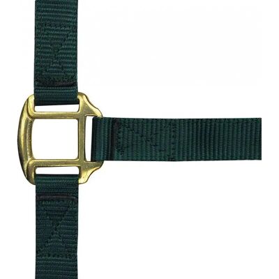 Symantec NORTON Dunkelgrüner Nylonpferdehalfter - Horse Halter Symantec NORTON Dunkelgrüner Nylonpferdehalfter - Horse Halter