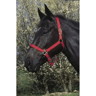 Harnais pour chevaux Riding World - Polypropylène double couche Rouge - Publicité Harnais pour chevaux Riding World - Polypropylène double couche Rouge - Publicité