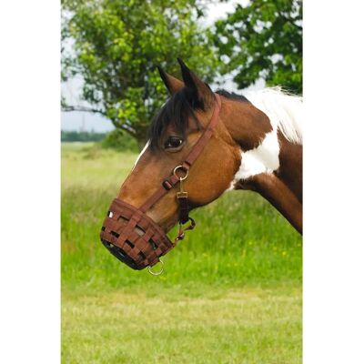 Generique Pony Nylon Pferdenasenschutz - Pferde-Nasenmaske Generique Pony Nylon Pferdenasenschutz - Pferde-Nasenmaske