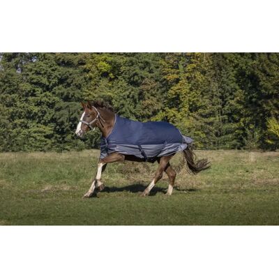 Equitheme Tyrex 600 D Abschwitzdecke Hochkragen Navy/Grau - Turnout Blanket Equitheme Tyrex 600 D Abschwitzdecke Hochkragen Navy/Grau - Turnout Blanket