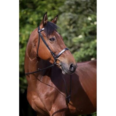 Tête de cheval en cuir Francaise de Riding World - Hodelag complet - Publicité Tête de cheval en cuir Francaise de Riding World - Hodelag complet - Publicité