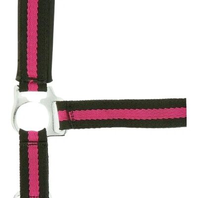Symantec Norton Doppelwandiges Polypropylen Neoprène Halter Symantec Norton Doppelwandiges Polypropylen Neoprène Halter