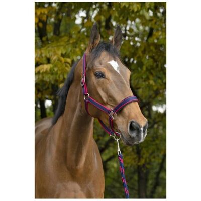 EQUITHÈME Marineblau-Fuchsia Halfter und Führstrick - Pferdehalfter und Führstrick EQUITHÈME Marineblau-Fuchsia Halfter und Führstrick - Pferdehalfter und Führstrick