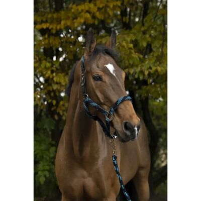 EQUITHEME Norton Tress Grimma - Polyester, Doppelter Stirnriemen, Verstellbares Nasenband - Pferdegeschirr EQUITHEME Norton Tress Grimma - Polyester, Doppelter Stirnriemen, Verstellbares Nasenband - Pferdegeschirr