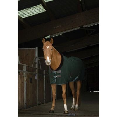 Equithème Teddy Polar Fleece Pferdedecke - Atmungsaktiv & Warm Equithème Teddy Polar Fleece Pferdedecke - Atmungsaktiv & Warm