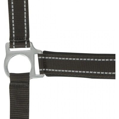 Symantec NORTON Pferrehalsband - Reflektierend - Schokolade Symantec NORTON Pferrehalsband - Reflektierend - Schokolade