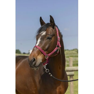 Symantec NORTON Grooming Burgundy - Pferdegeschirr Symantec NORTON Grooming Burgundy - Pferdegeschirr
