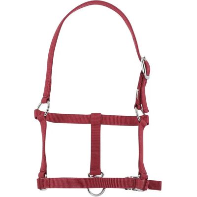 RIDING WORLD Føllgrime Burgundy - Riding World Reitbekleidung RIDING WORLD Føllgrime Burgundy - Riding World Reitbekleidung