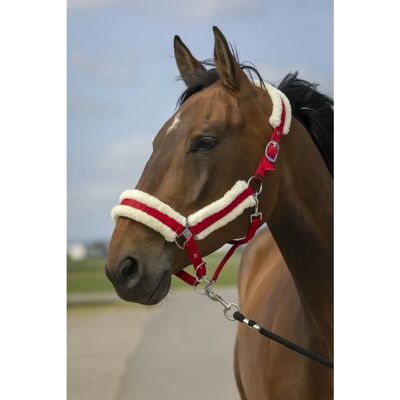 EQUITHEME Nylon Mouton Reithalfter - Pferdeausrüstung EQUITHEME Nylon Mouton Reithalfter - Pferdeausrüstung