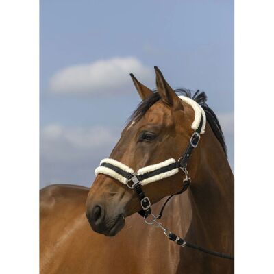 EQUITHEME Nylon Mouton Reitkopp - Reitkopp EQUITHEME Nylon Mouton Reitkopp - Reitkopp