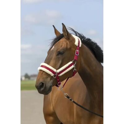 EQUITHEME Nylon Mouton Bordeaux/Weiß Reithalfter - Pferdeausrüstung EQUITHEME Nylon Mouton Bordeaux/Weiß Reithalfter - Pferdeausrüstung