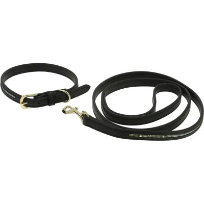Equitheme Max Correa para Perro - Duradera y Ajustable Equitheme Max Correa para Perro - Duradera y Ajustable