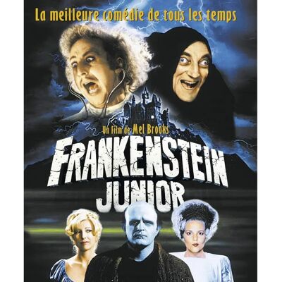Young Frankenstein - DVD Zone 2, 1975 - Publicité Young Frankenstein - DVD Zone 2, 1975 - Publicité